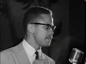 Malcolm X Network_ Malcolm X- By Any Means Necessary_ A Look at African-American Nationalism _ The Daily Press